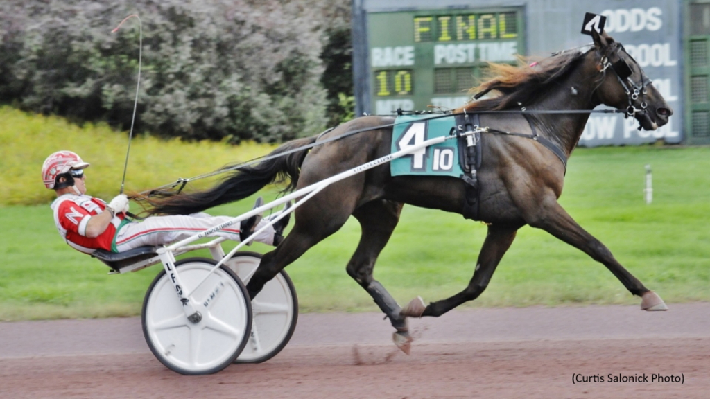 Joygo Standardbred Canada joygo-standardbred-canada